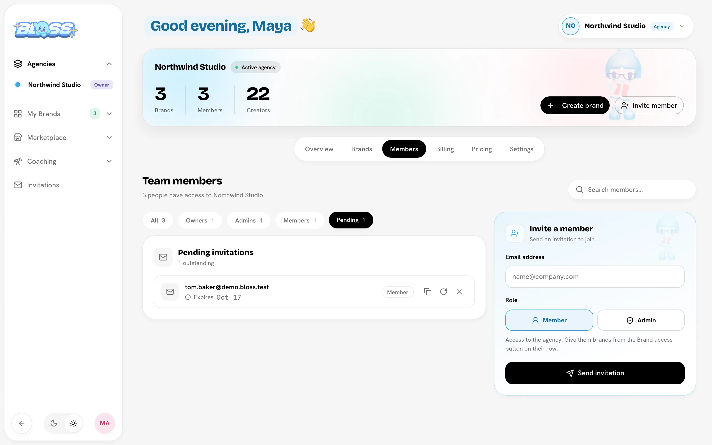Members tab with the Invite a member card and one pending invitation