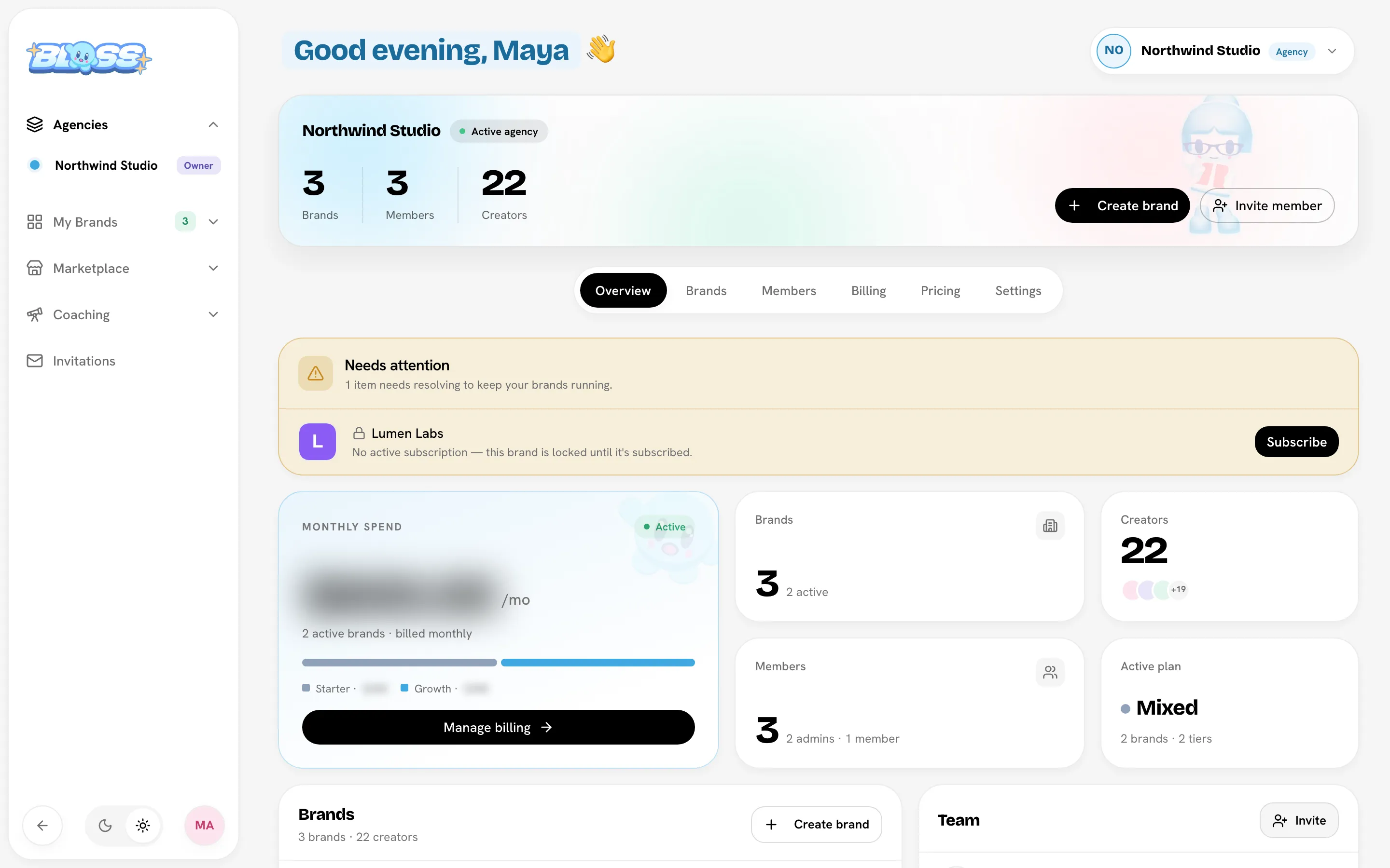 Agency Overview tab with the Needs attention panel and stat tiles