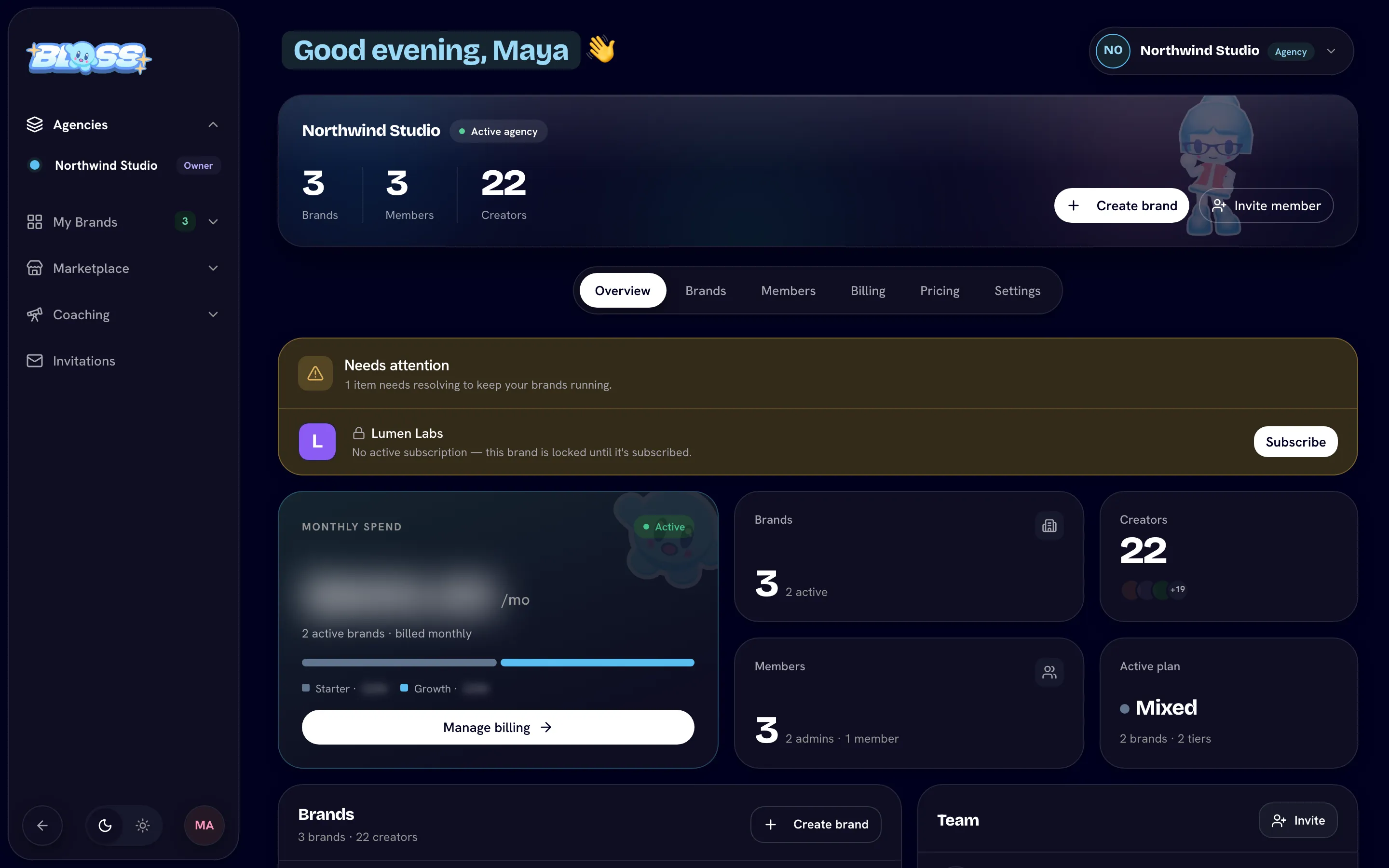 Agency Overview tab with the Needs attention panel and stat tiles