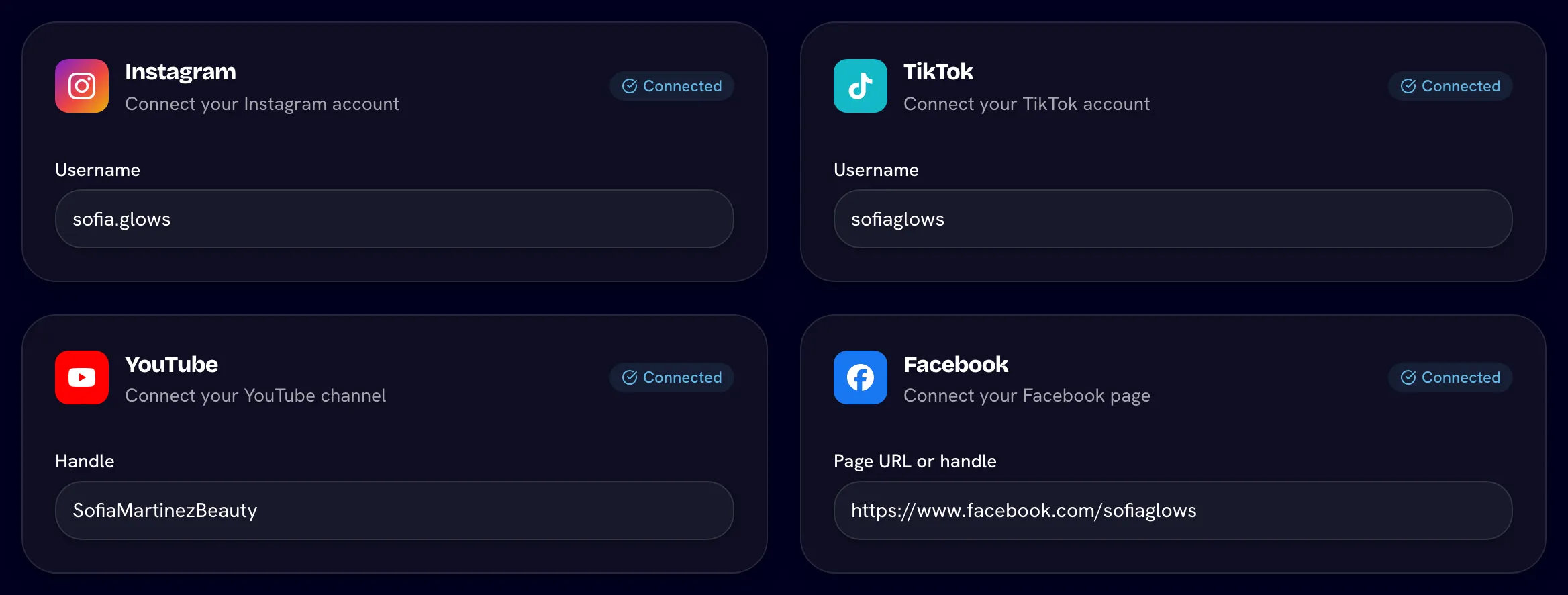 The four platform cards filled in, with Connected badges
