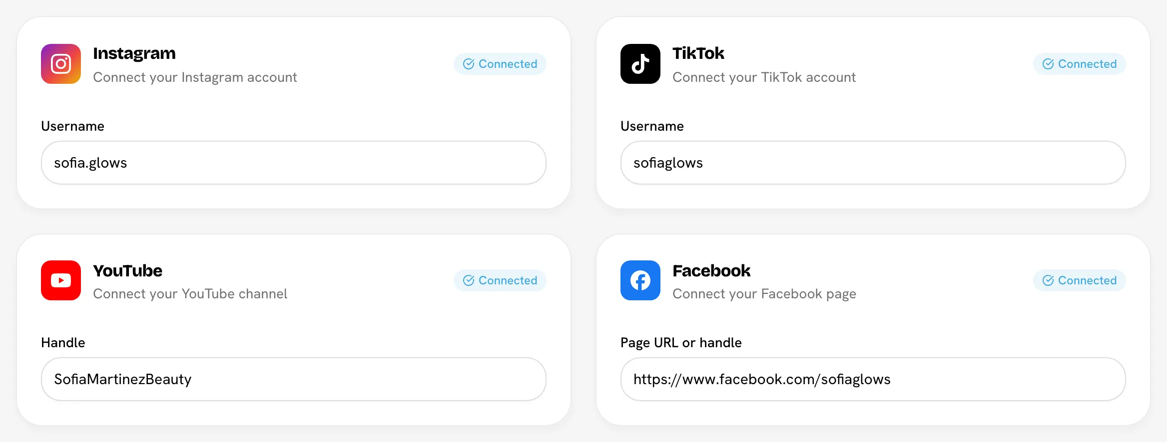 The four platform cards filled in, with Connected badges